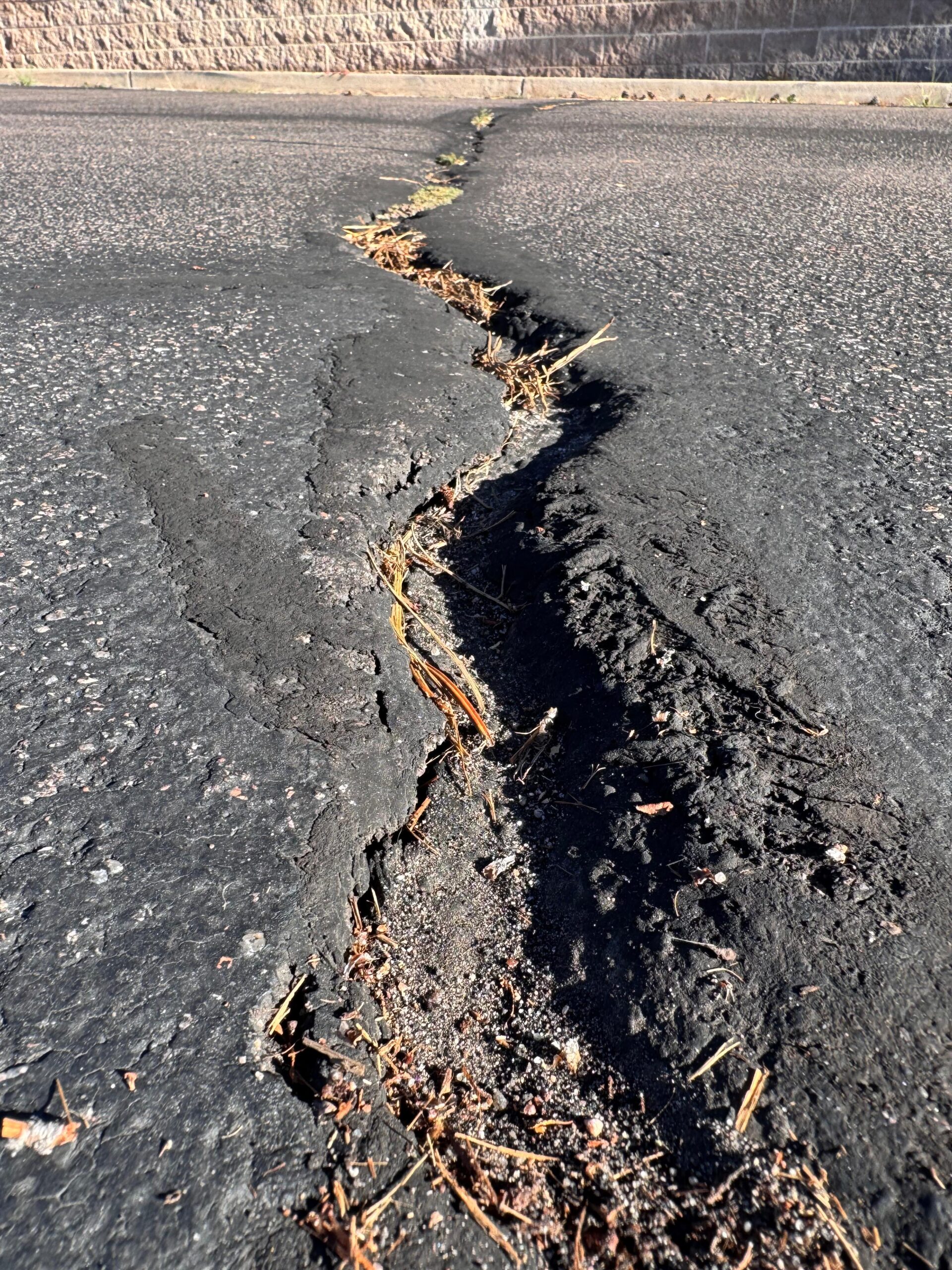 Wide, deteriorating asphalt crack with debris and weeds along a parking lot wall