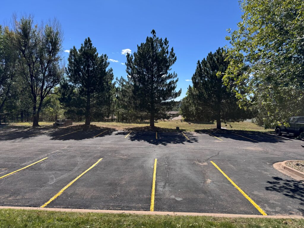Fresh yellow parking stall striping in a parking lot lined with pine trees